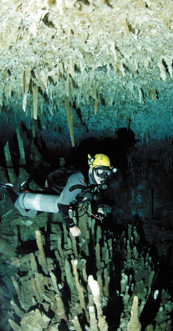Exploring The Blue Holes Of Abaco Advanced Diver Magazine